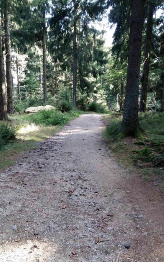Bergerlebnis Natur Pur Sankt Englmar Luaran gambar